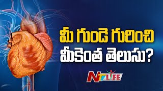 Heart Beat : మీ గుండె గురించి మీకెంత తెలుసు.. ? | Ntv Life