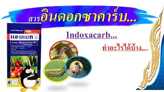 สารอินดอกซาคาร์บ..(Indoxacarb)..กำจัดหนอนทุกชนิด (ยาดูดซึม)