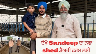 NEW VIDEO OF SANDEEP'S NEW DIARY FARM| AULAKH DIARY FARM | RAMPURA PHUL | BATHINDA | PUNJAB |