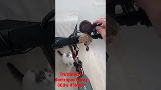 trottinette électrique hitway H5 800w