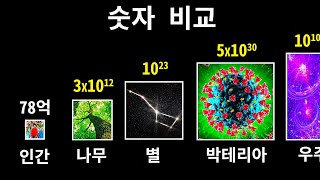 매우 큰 숫자 비교와 그 의미