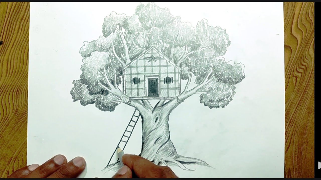 Tree House Drawing Easily/ Easy Way To Draw Tree House Step By Step ...