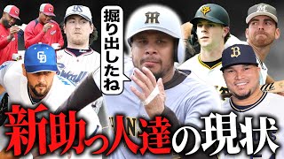 【プロ野球】新助っ人で活躍確定なのは〇〇！キャンプでのアピール中間査定やSP【セリーグ】【パリーグ】