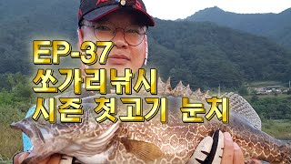 쏘가리낚시 시즌 첫고기는 눈치 EP-37