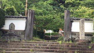 JR東海道本線　寺の中にある踏切