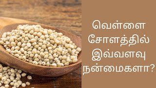 Health Benefits of Jowar/Sorghum |வெள்ளை சோளம் மருத்துவ பயன்கள் | Informative Thoughts Tamil