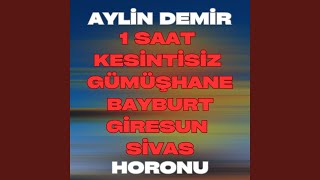 Cıngıllım / İnce Dayı / Salla Mendilini / Güzeller / Su Şehri / Gümüşhane / Derenin...