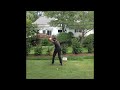 stephan jaeger slow motion golf swing motivation. golf golfwing bestgolf alloverthegolf