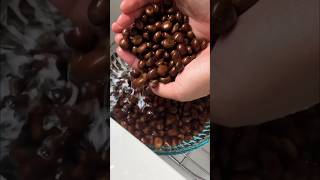 Making Loquat Seed Liqueur (Nespolino)