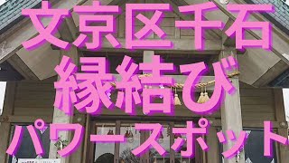 文京区小石川の簸川神社【縁結びのパワースポット】～[Japan] Hikawa shrine in Bunkyo-ku, Tokyo～