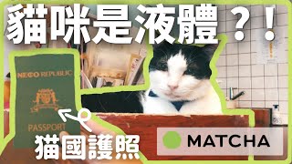 【大阪咖啡】在「貓浴場」與流浪貓共度咖啡時光｜MATCHA帶路玩日本