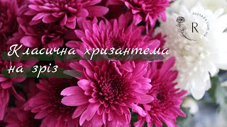 Класична хризантема на зріз