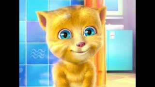 Talking Tom Thangamey