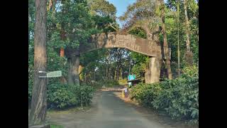 POABS estate bungalow, Sitargundu Estate