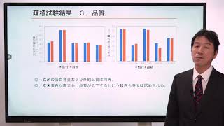 【完全版】栽培技術｜ 疎植と密苗－苗箱数を減らして労力・コスト削減－