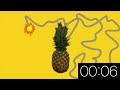 10 Second Timer - Pineapple Explosion