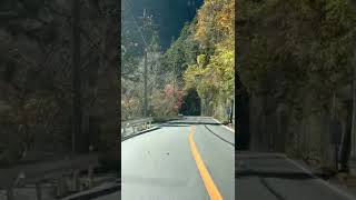 #beautifulplace latest JAPAN beautiful place | Japan view in 2 minutes during car drive | BEAUTY