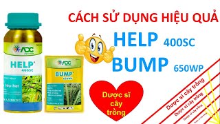 Help + bump cách phòng trị đạo ôn và lem lép hạt hiệu quả trên lúa | ADC | thuốc trừ bệnh