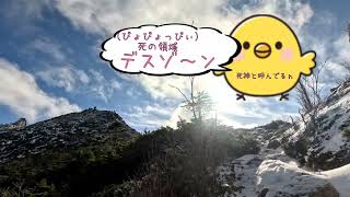 甲信越地方金峰山日本百名山ハイク山まるちゃん