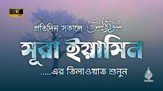 (প্রতিদিন সকালে শুনুন) আবেগময় কন্ঠে সূরা ইয়াসিন | সৈয়দ মুহাম্মাদ আলী | Quran Tilawat | Elmun Noor