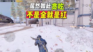 不是红就是金！赛季末如此贪吃【地铁逃生零雾】#地铁逃生 #PUBGMobile #游戏解说