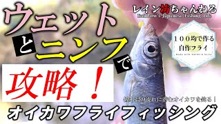 【オイカワ釣り】ウェットとニンフで攻略！低水温の流れに潜むオイカワを釣る！オイカワフライフィッシング【レイン坊ちゃんねる～Rainbow’ｓ Japanese Fishing Life～】