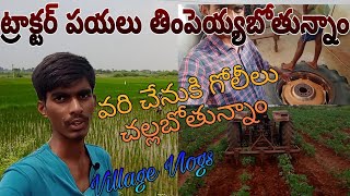 ట్రాక్టర్ పయలు తింపెయ్యబోతున్నాం 🚜|వరి చేనుకి 🌱 గోలీలు చల్లబోతున్నాం | #sathish_kumar_vlogs