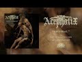 acephalix abyssal from theothanatology lp 2022