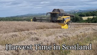 Harvest time in Seafield, Scotland