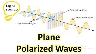 Plane-polarized or linearly polarized waves.