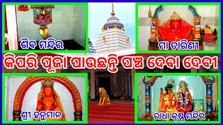 କିପରି ପୂଜା ପାଉଛନ୍ତି ପଞ୍ଚ ଦେବା ଦେବୀ kipari puja pauchhanti pancha daba dabi#bhubaneswar  #omswain