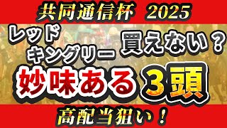 【共同通信杯2025】レッドキングリーより買い！妙味ある3頭を紹介！