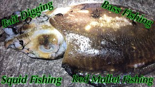 Bass Fishing, Squid And Cuttlefish Fishing, Bream Fishing and Bait Digging