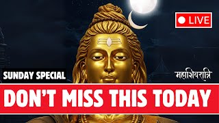 🔴 LIVE 🔴 SUNDAY SHIVA SPECIAL 🔴 Shiva’s Midnight Healing – Mahashivratri Special