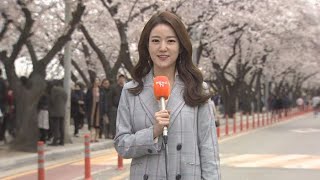 [날씨] 건조함 달래는 단비…강원 대설ㆍ남해안 호우 / 연합뉴스TV (YonhapnewsTV)