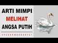 Arti Mimpi Melihat Angsa Putih