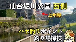 秘境「仙台堀川公園 西側」ハゼ釣りポイント｜上州屋裏、複雑な地形でポイント多数、Googleストリートビューで確認不能な江東区の秘境