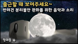 #멍마들  (12시간 재생) 출근할 때 보여주세요~ | 반려견 분리불안 완화를 위한 음악과 소리 - Show us when you go to work