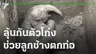 นาทีชีวิต! ช่วยลูกช้างป่าตกท่อระบายน้ำ | 13-07-65 | ไทยรัฐนิวส์โชว์