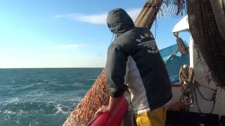 Une journée de pêche à bord du chalutier 