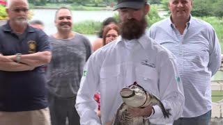 MUST SEE! Chicago gator caught after being seen in park lagoon