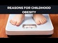 Reasons For Childhood Obesity - The Causes of Childhood Obesity