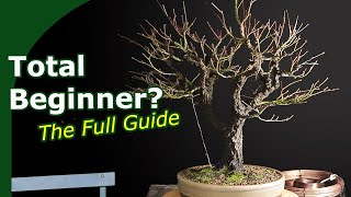 The Bonsai Guide for Beginners (No Fluff, Just Facts)