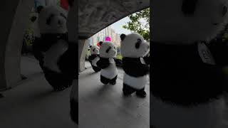 Wilde Panda Gang unterwegs in Bangkok Sukhumvit l News aus der Hauptstadt von Thailand