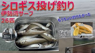 エギン亭  シロギス　釣って、捌いて、料理するよ　釣り#46