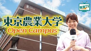 【東京農業大学】オープンキャンパスで幅広い学びを体感できる‼｜最先端の研究を東京の真ん中で‼〔高校生におススメ〕 #東京農業大学オープンキャンパス #東京農業大学 #オープンキャンパス