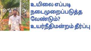 What are the consequences if necessary steps are not taken to implement the Will? #உயில்