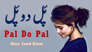 Best Poetry Pal Do Pal By Saeed Aslam | New Punjabi Poetry Videos | Punjabi Shayari