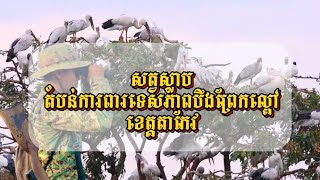 សត្វស្លាបចម្រុះក្នុងតំបន់ការពារទេសភាពបឹងព្រែកល្ពៅខេត្តតាកែវ/Bird of boeung prek lapouv  #wildlife