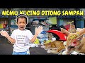 ARSYI MENEMUKAN KUCING LUKA PARAH DITONG SAMPAH DAN KELAPARAN‼️KASIAN BANGETTT